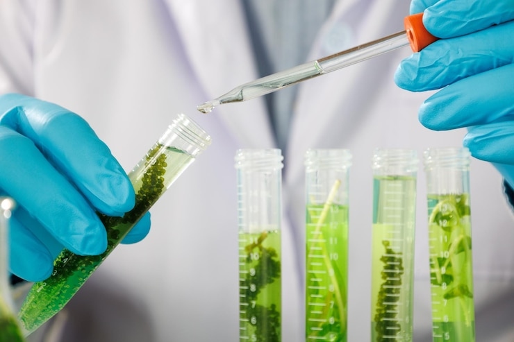 research-scientist-team-working