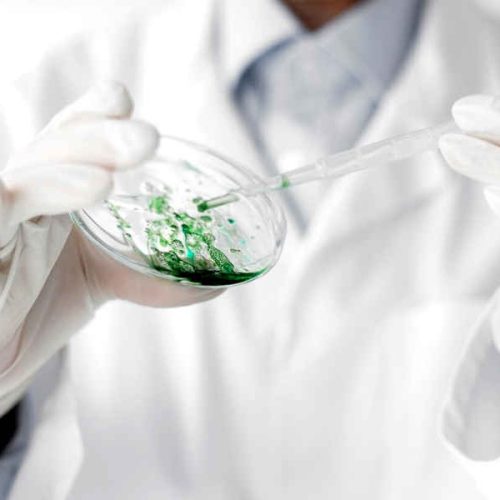 Bioplasticos-Cientificas-espanol