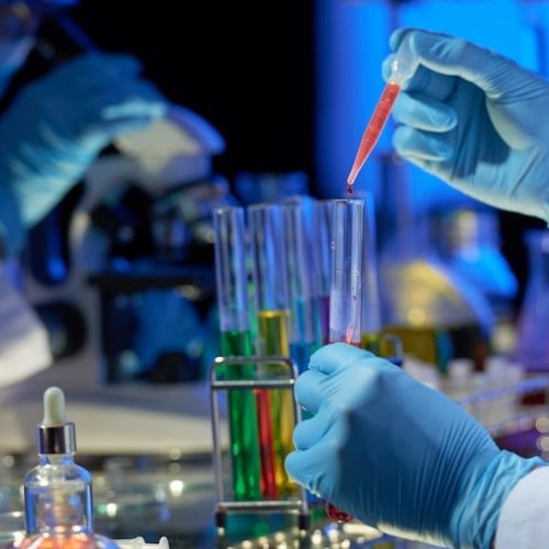 trabajo-equipo-dim-modern-lab_10